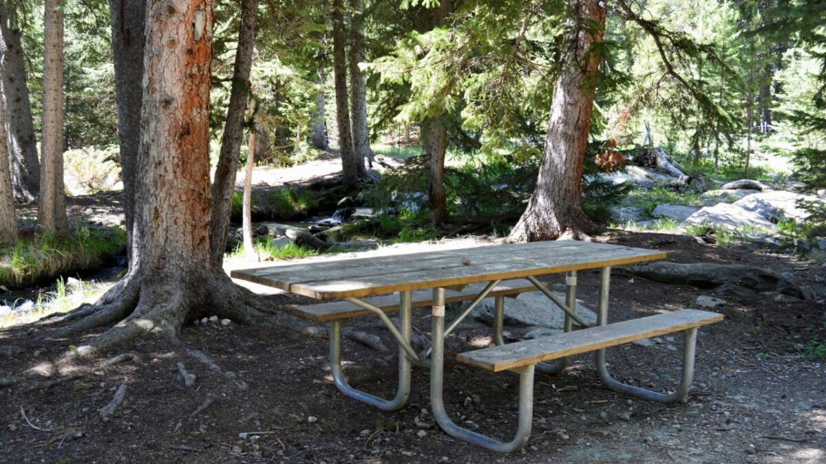 Benches and a table in the Buffaclo Creek Recreational Area near Denver