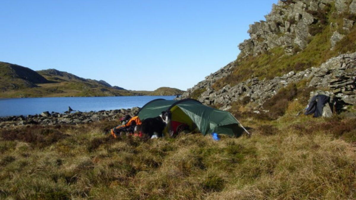 A tent pitched at a wild camping spot in Llyn Edno